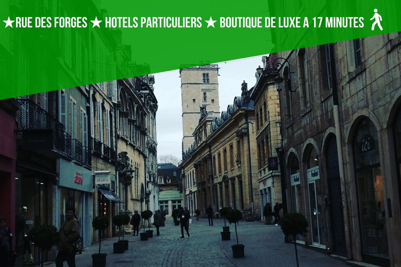 Le Bareuzai Appartement Dijon